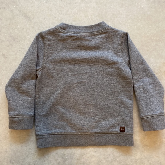 Tea Collection raccoon sweatshirt size 12-18m. - Picture 2 of 3